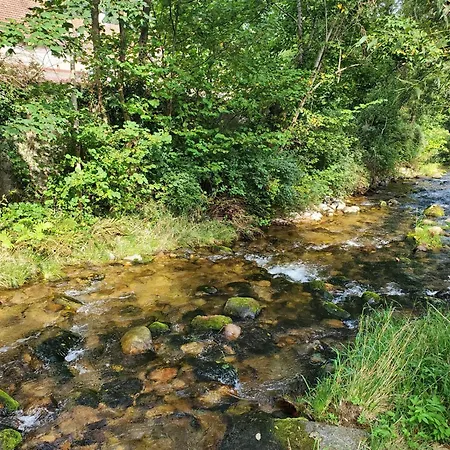 Chez Ester Appartement Plainfaing