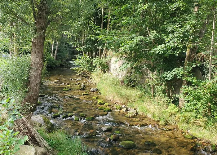 Appartement Chez Ester Plainfaing