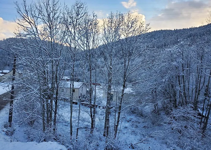 Appartement Chez Ester Plainfaing