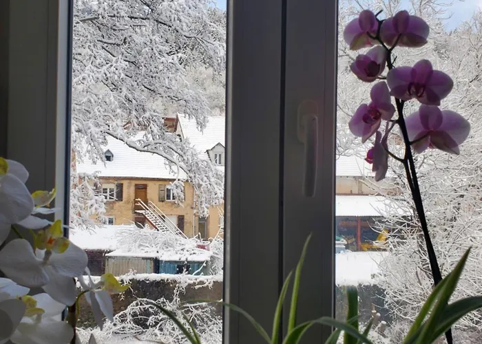 Chez Ester Appartement